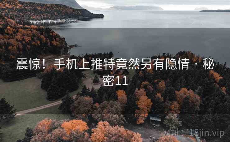 震惊！手机上推特竟然另有隐情 · 秘密11
