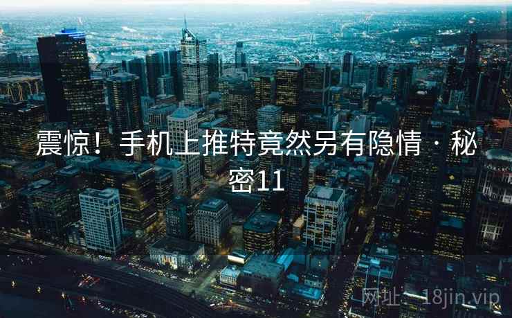 震惊！手机上推特竟然另有隐情 · 秘密11