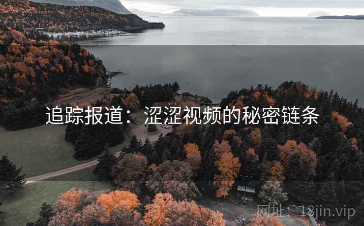 追踪报道：涩涩视频的秘密链条