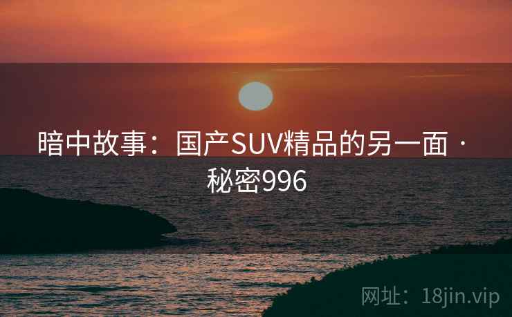 暗中故事:国产SUV精品的另一面 · 秘密996 暗中故事:国产SUV精品的另一面 · 秘密996