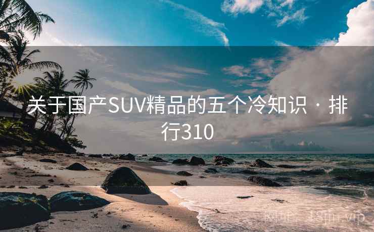 关于国产SUV精品的五个冷知识 · 排行310