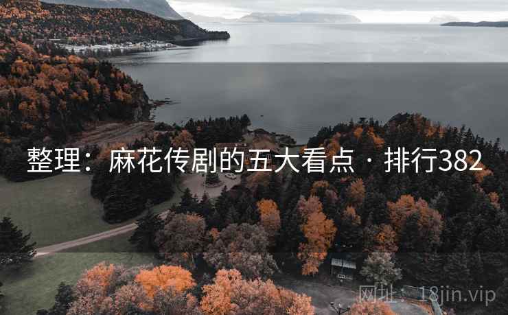 整理:麻花传剧的五大看点 · 排行382